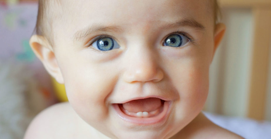 Febre do dente: O nascimento dos primeiros dentinhos!